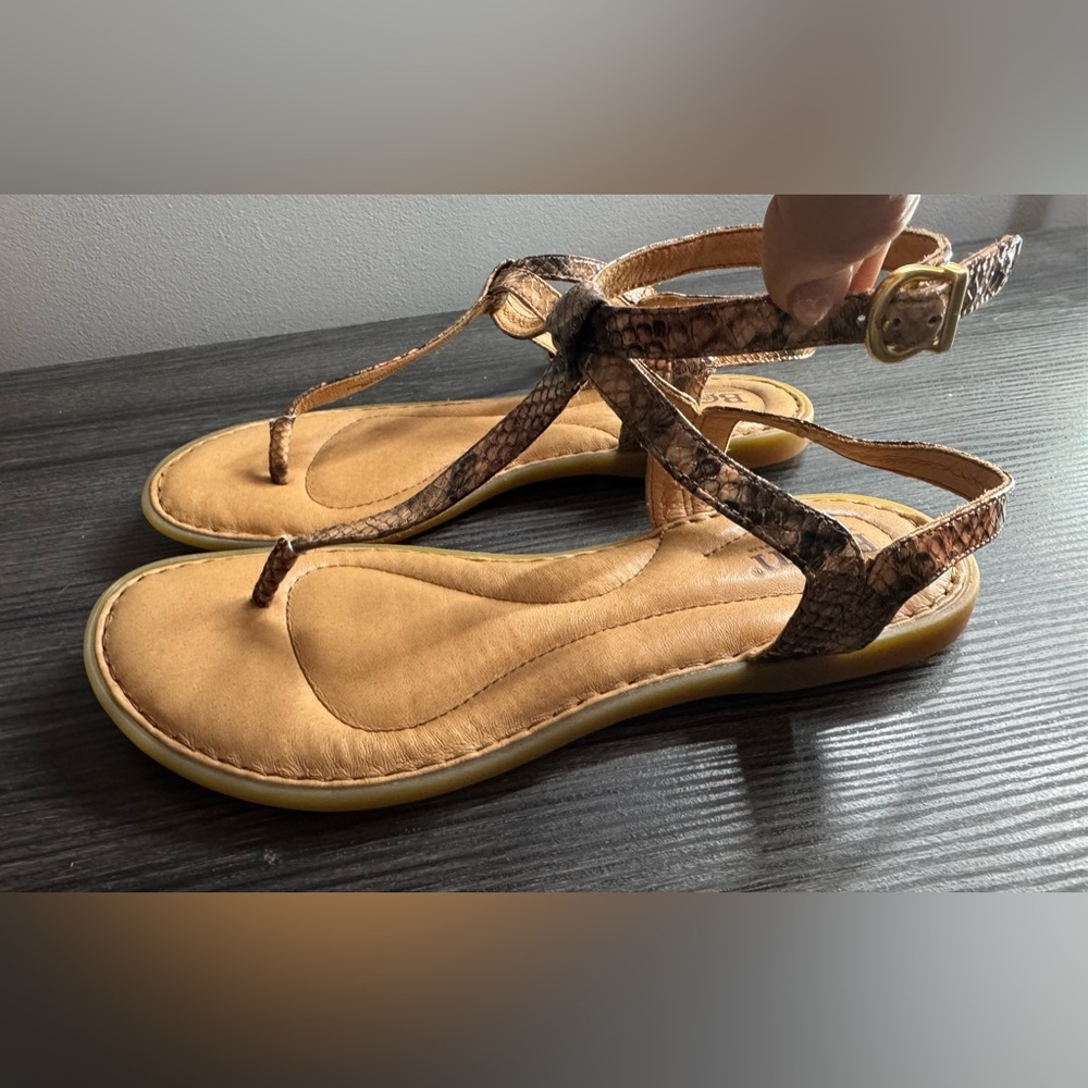 EUC BORN Women's Acqualina Strappy Sandal Color: Natural Snake Size 7M
